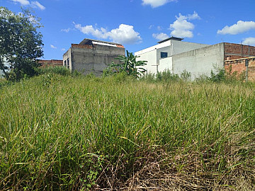 Lote � Venda